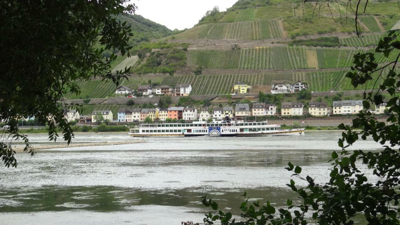 "Haus Schloss Fuerstenberg" باشاراش المظهر الخارجي الصورة